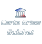 Demande de carte grise en ligne